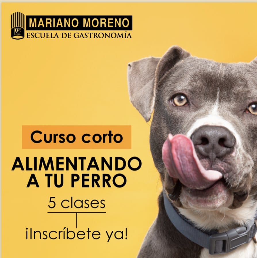 Curso corto “Alimentando a tu perro” – Escuela de Gastronomía Mariano Moreno