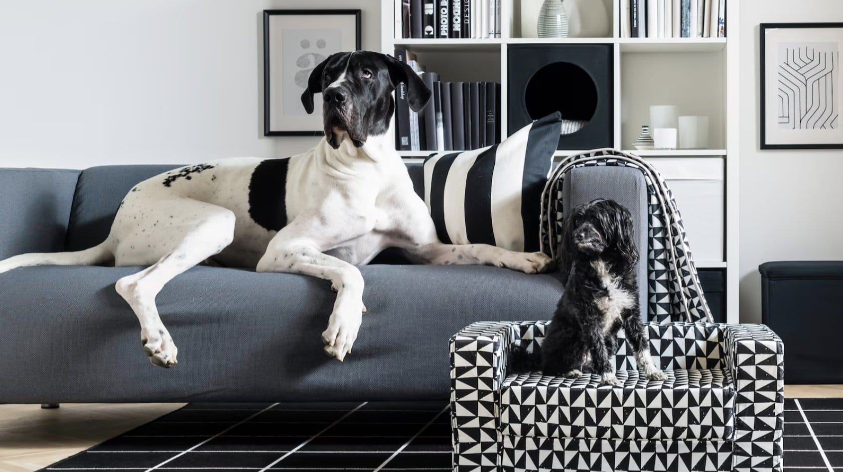 Diseño para todos: IKEA crea espacios pensados también para las mascotas