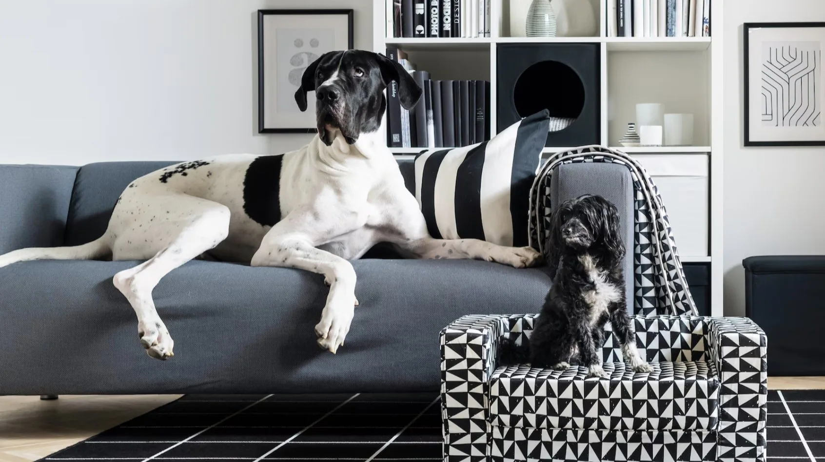 Diseño para todos: IKEA crea espacios pensados también para las mascotas