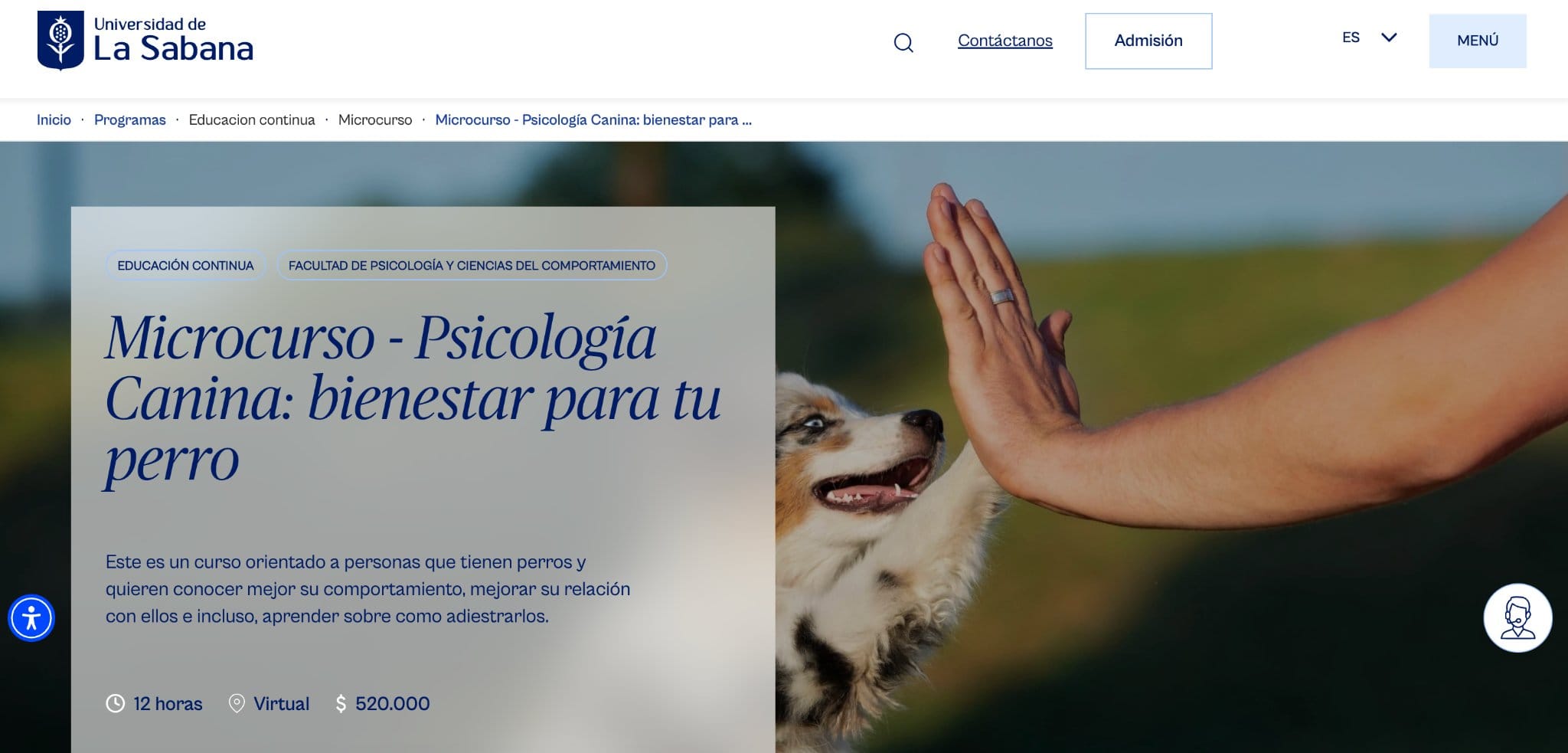 Petconomy: Curso de Psicología Canina en La Sabana: bienestar y vínculo desde la academia
